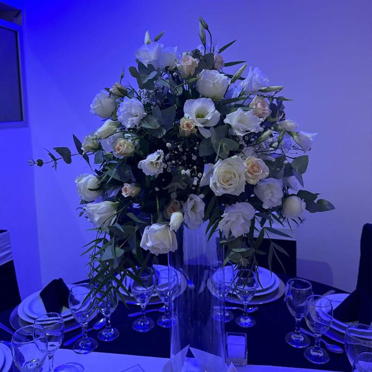 Trabajos realizados (5)